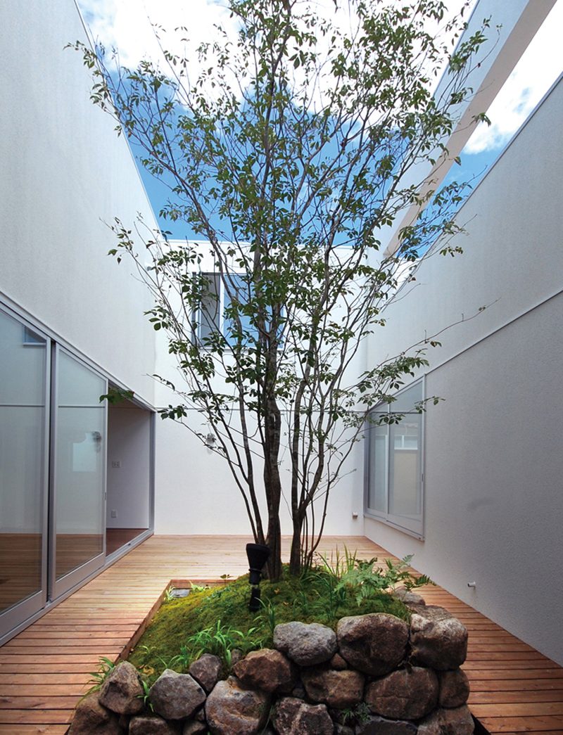 白い壁に囲まれた中庭に植えられた一本の樹木と石