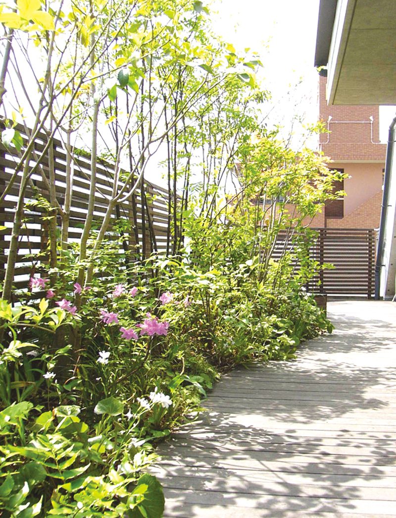 木漏れ日の中、植栽に囲まれた石敷きの小径