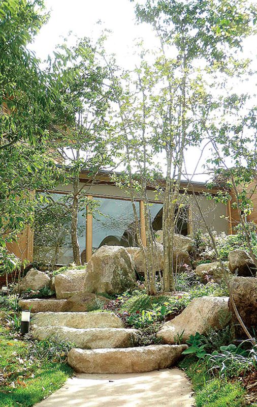 植栽の中を上る石の階段